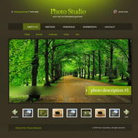 service website